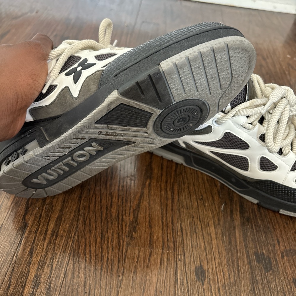 Louis Vuitton skate sneakers
